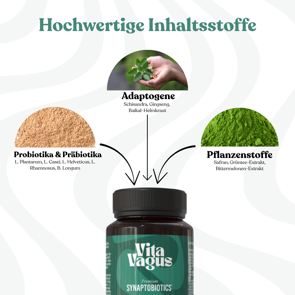 Premium Synaptobiotics