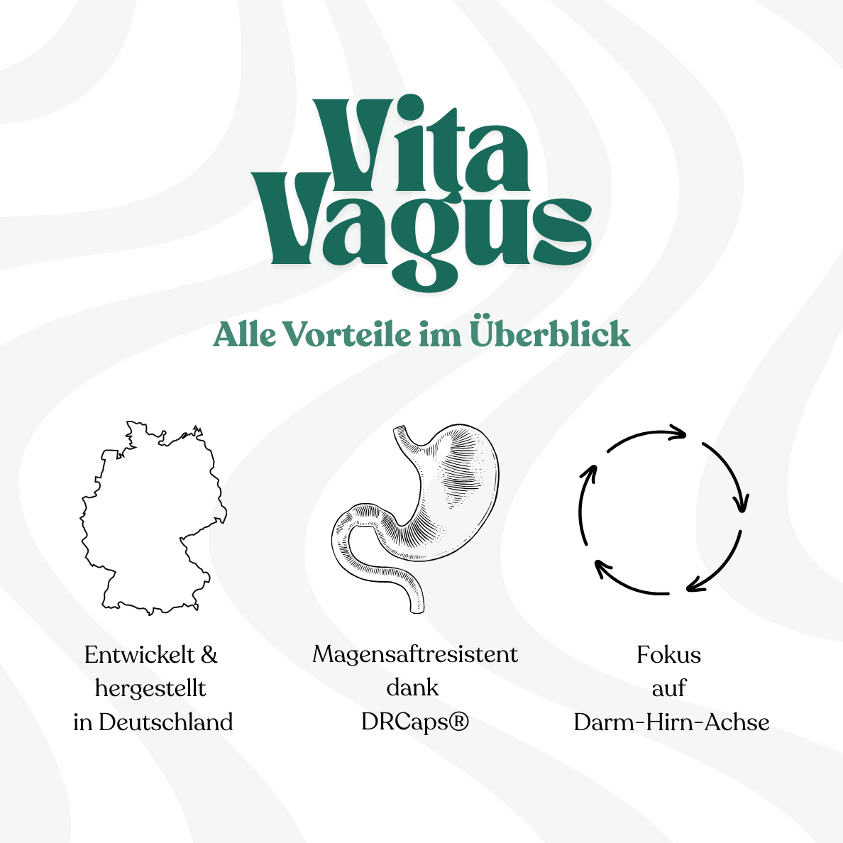 Premium Synaptobiotics